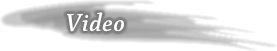 �r�f�I